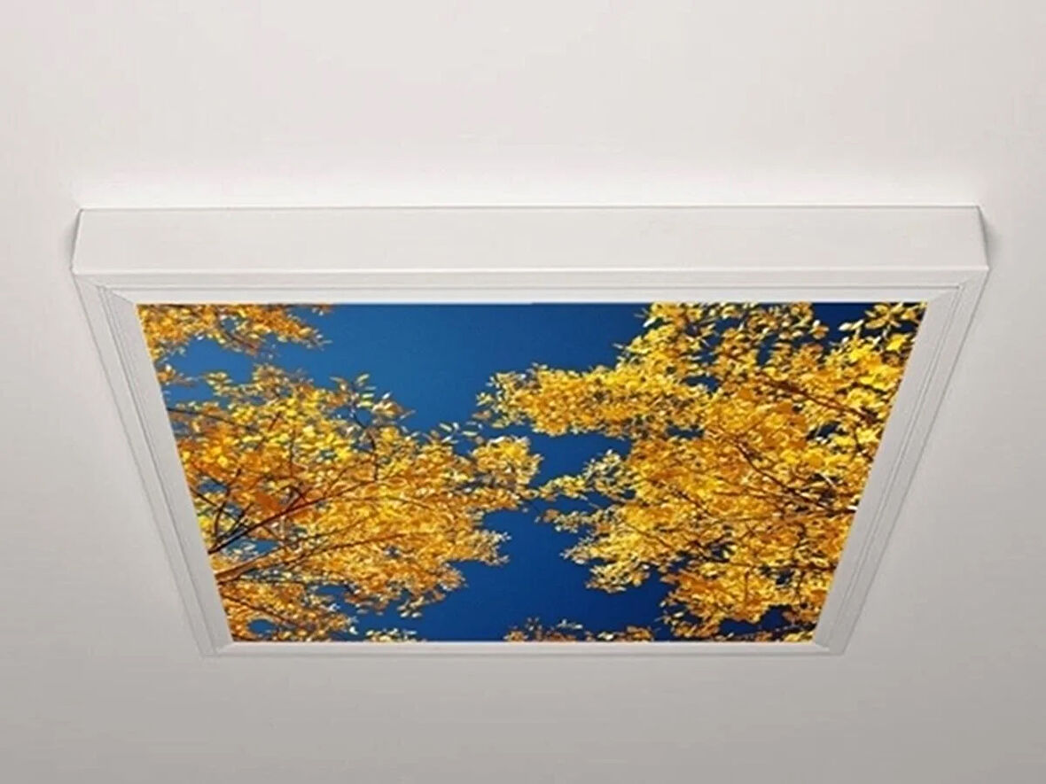 Gök Panel 60X60 LED Panel Aydınlatma Armatür Avize Sıva Üstü Desenli Tekli 46510476SU