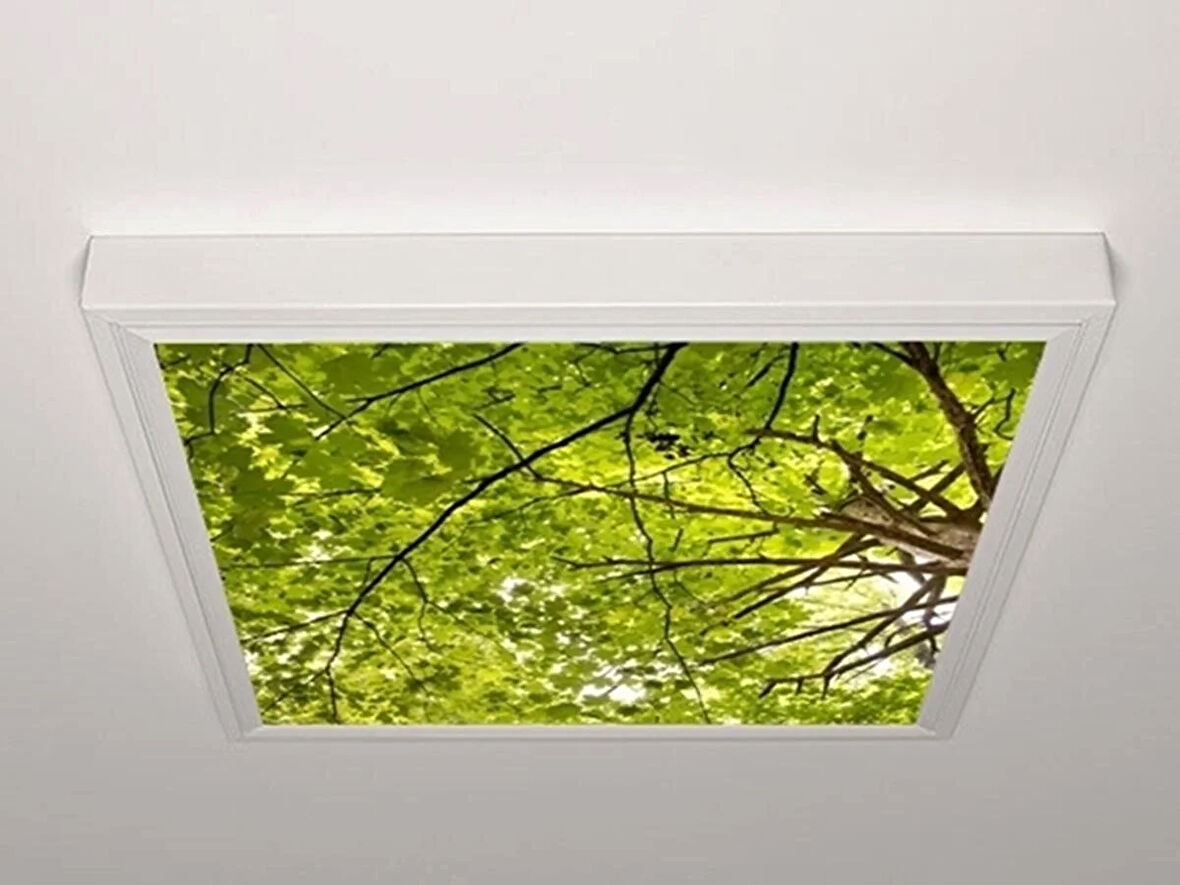 Gök Panel 60X60 LED Panel Aydınlatma Armatür Avize Sıva Üstü Desenli Tekli 46510539SU