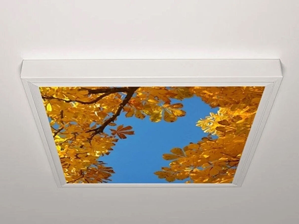 Gök Panel 60X60 LED Panel Aydınlatma Armatür Avize Sıva Üstü Desenli Tekli 46510565SU