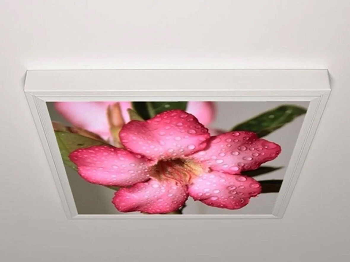 Gök Panel 60X60 LED Panel Aydınlatma Armatür Avize Sıva Üstü Desenli Tekli 46510595SU