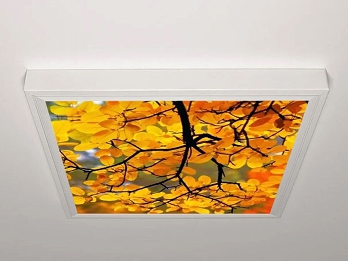 Gök Panel 60X60 LED Panel Aydınlatma Armatür Avize Sıva Üstü Desenli Tekli 46510762SU