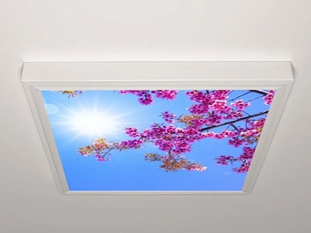 Gök Panel 60X60 LED Panel Aydınlatma Armatür Avize Sıva Üstü Desenli Tekli 46510784SU