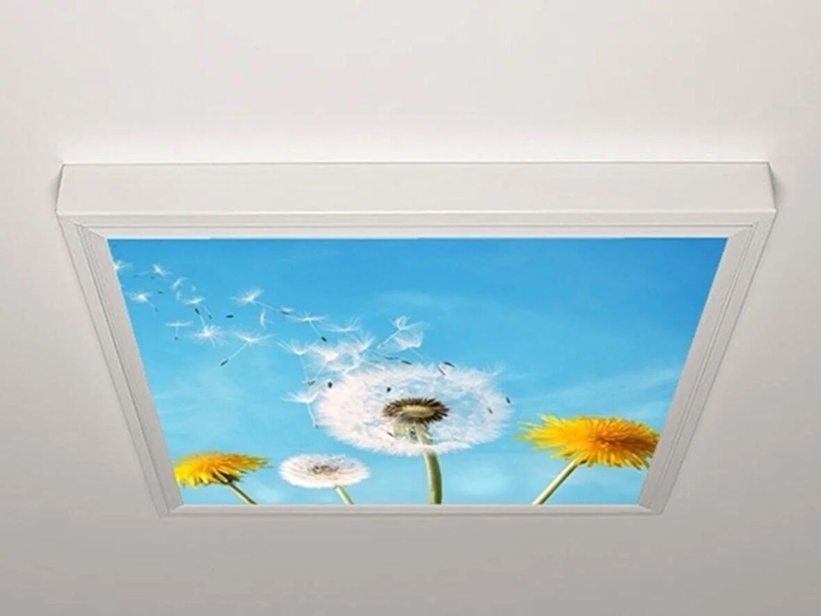 Gök Panel 60X60 LED Panel Aydınlatma Armatür Avize Sıva Üstü Desenli Tekli 46510965SU