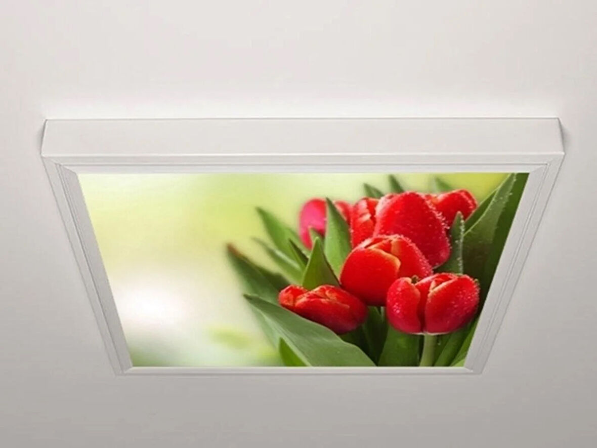 Gök Panel 60X60 LED Panel Aydınlatma Armatür Avize Sıva Üstü Desenli Tekli 46511108SU