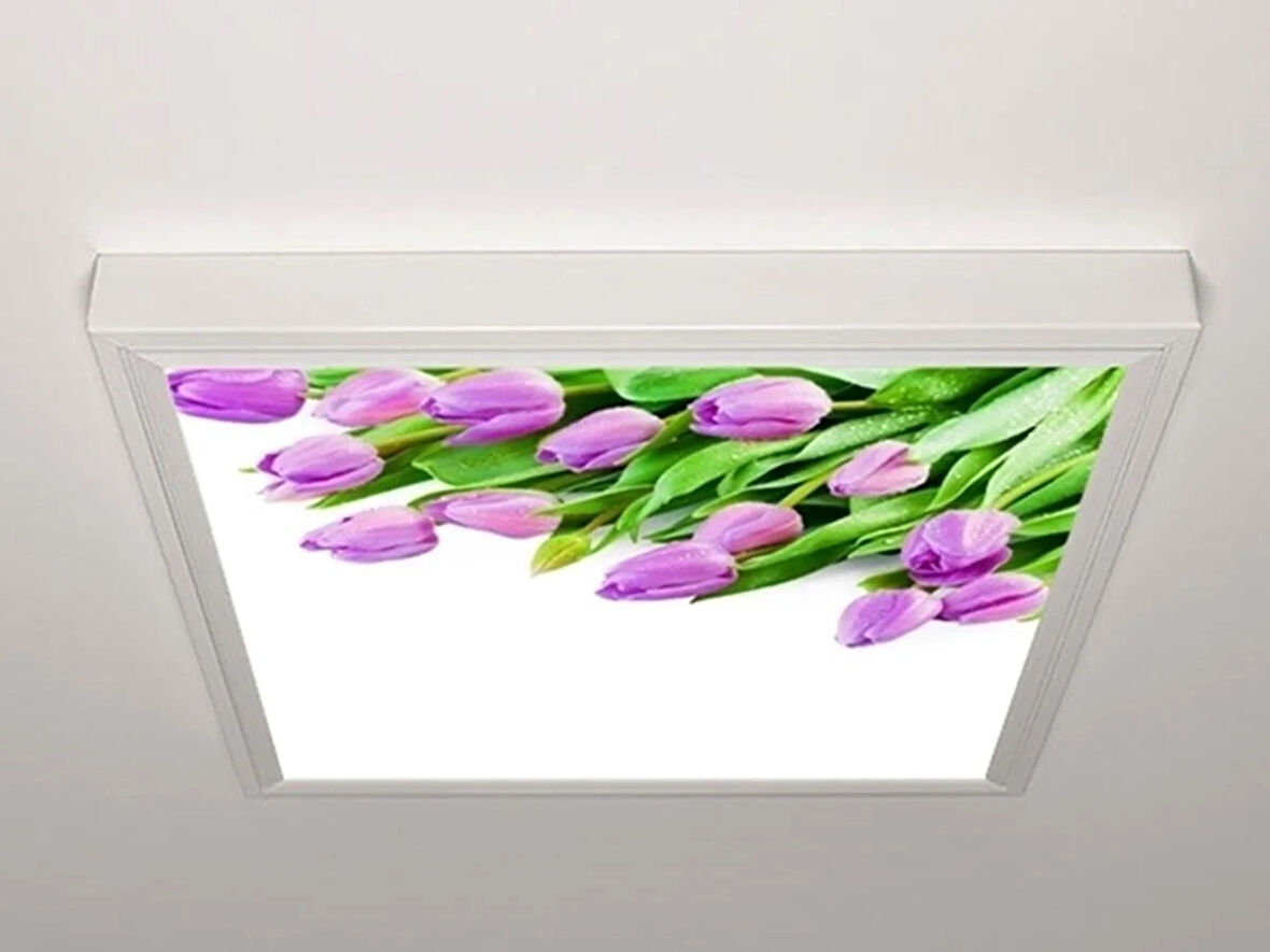 Gök Panel 60X60 LED Panel Aydınlatma Armatür Avize Sıva Üstü Desenli Tekli 46511114SU