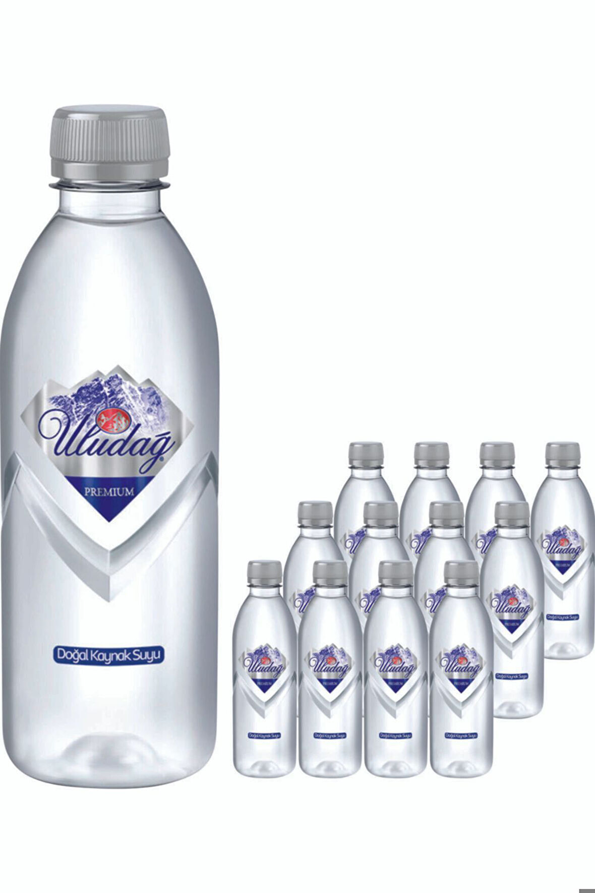 Doğal Kaynak Suyu Pet Şişe 12 x 400 ML