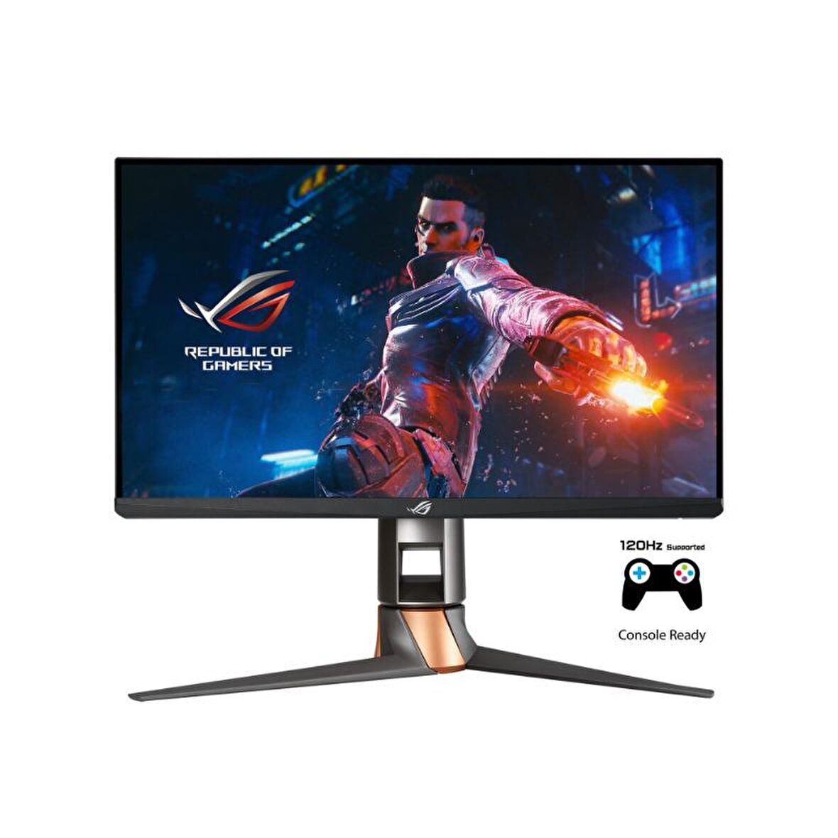 Asus PG259QN 24.5 inç 1 ms HDMI 360 Hz LED Full HD Oyun Bilgisayar Monitörü