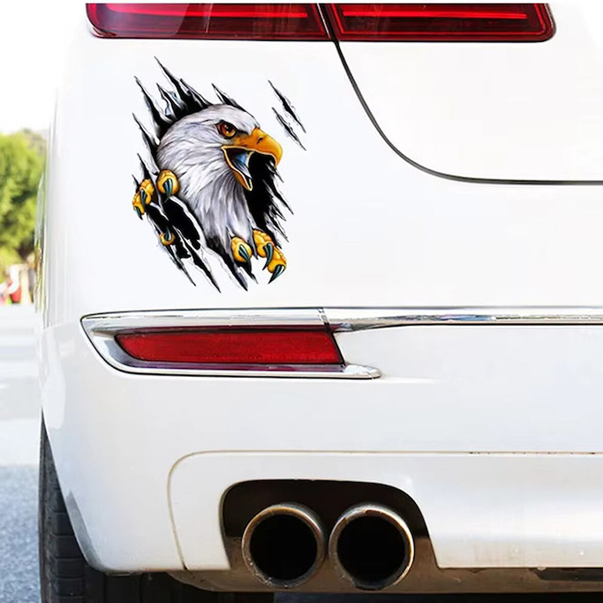 Kartal Sticker Yapıştırması Araba Motorsiklet 19 CM