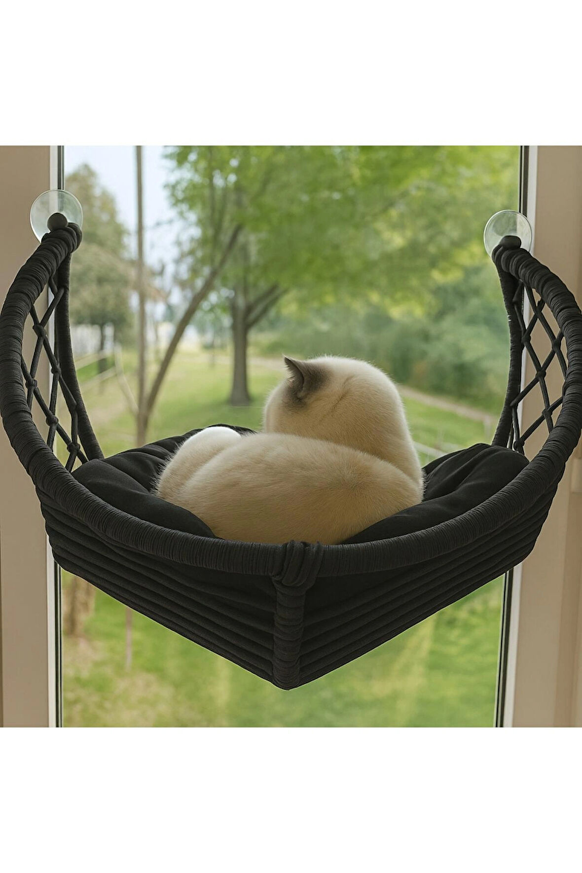 Hilal Kedi Cam Yatağı & Cam Askılı Vantuzlu Kedi Yatağı