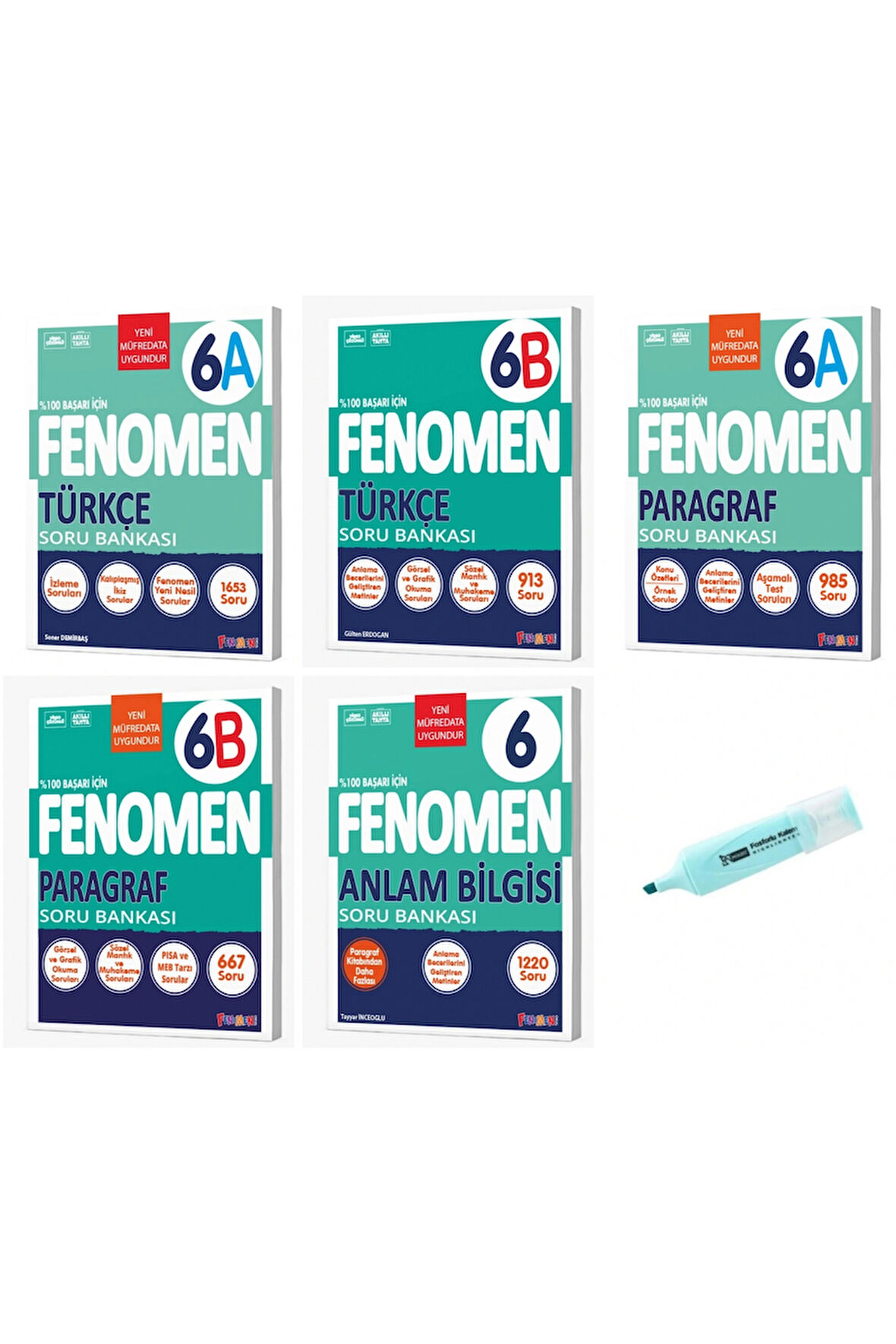 6. Sınıf Türkçe A-B  Paragraf A-B Ve Anlam Bilgisi Soru Bankası