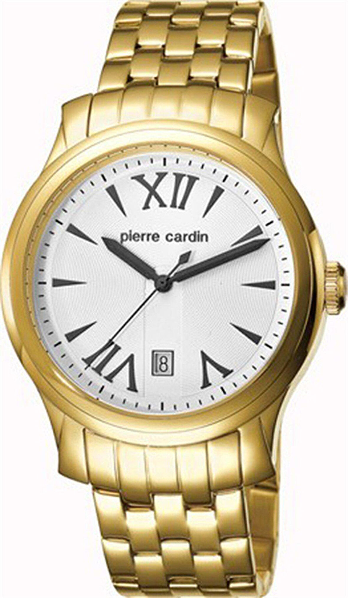 Pierre Cardin PC104121F07 Erkek Kol Saati