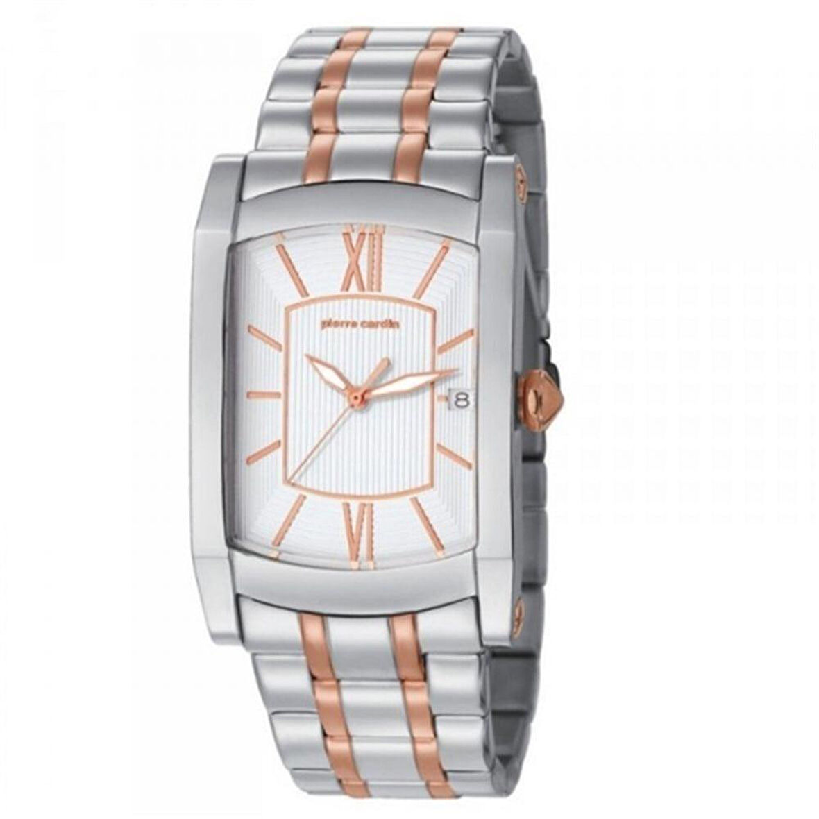 Pierre Cardin PC105391F10 Erkek Kol Saati
