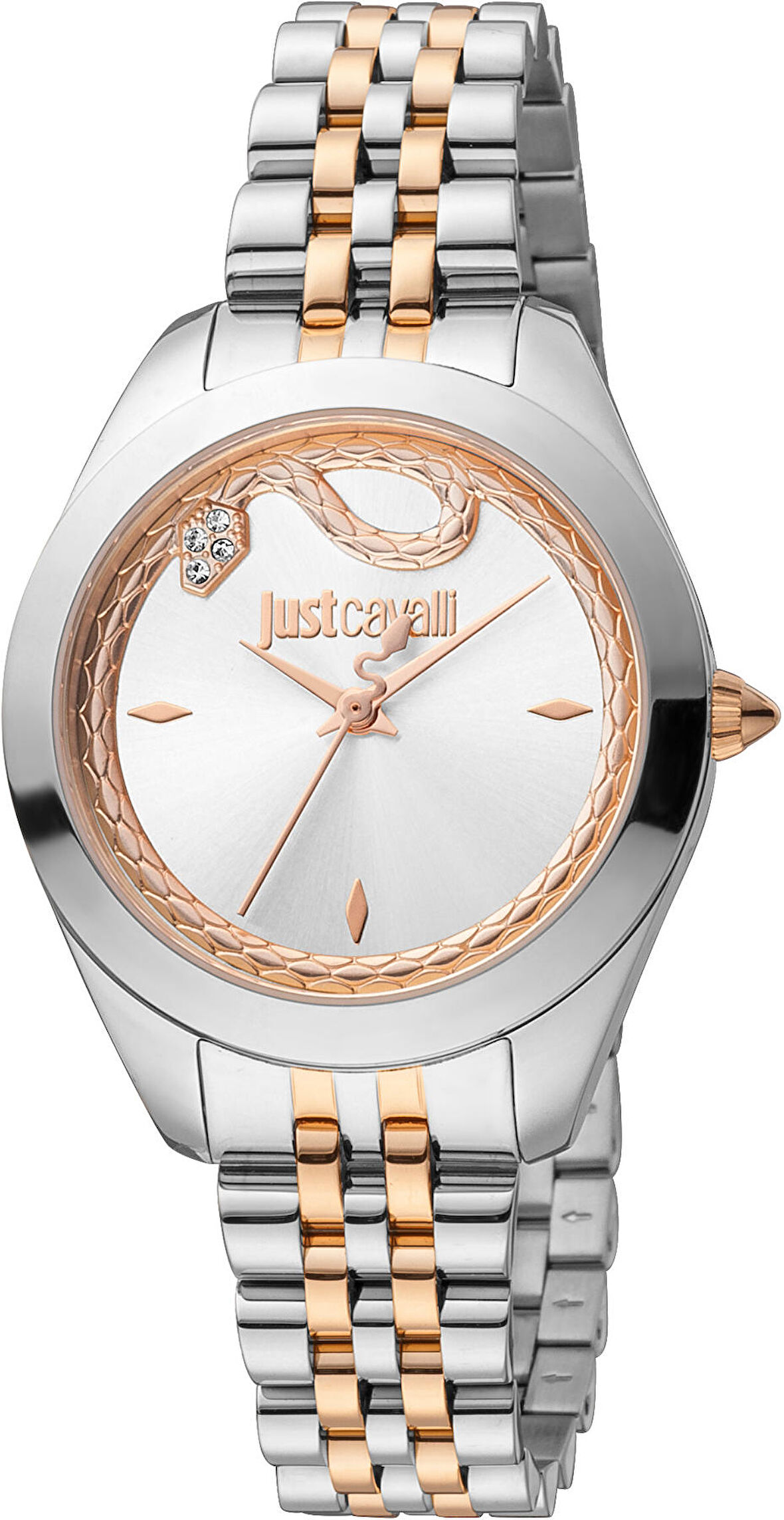 Just Cavalli JC1L210M0315