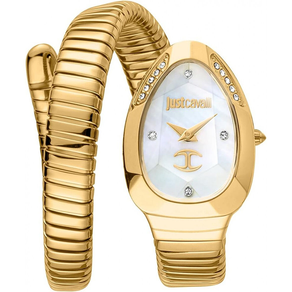 Just Cavalli JC1L229M0025 Kadın Kol Saati