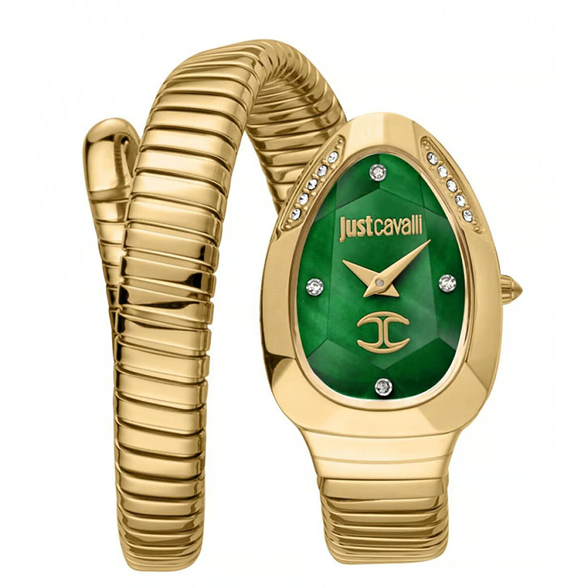 Just Cavalli JC1L229M0035 Kadın Kol Saati