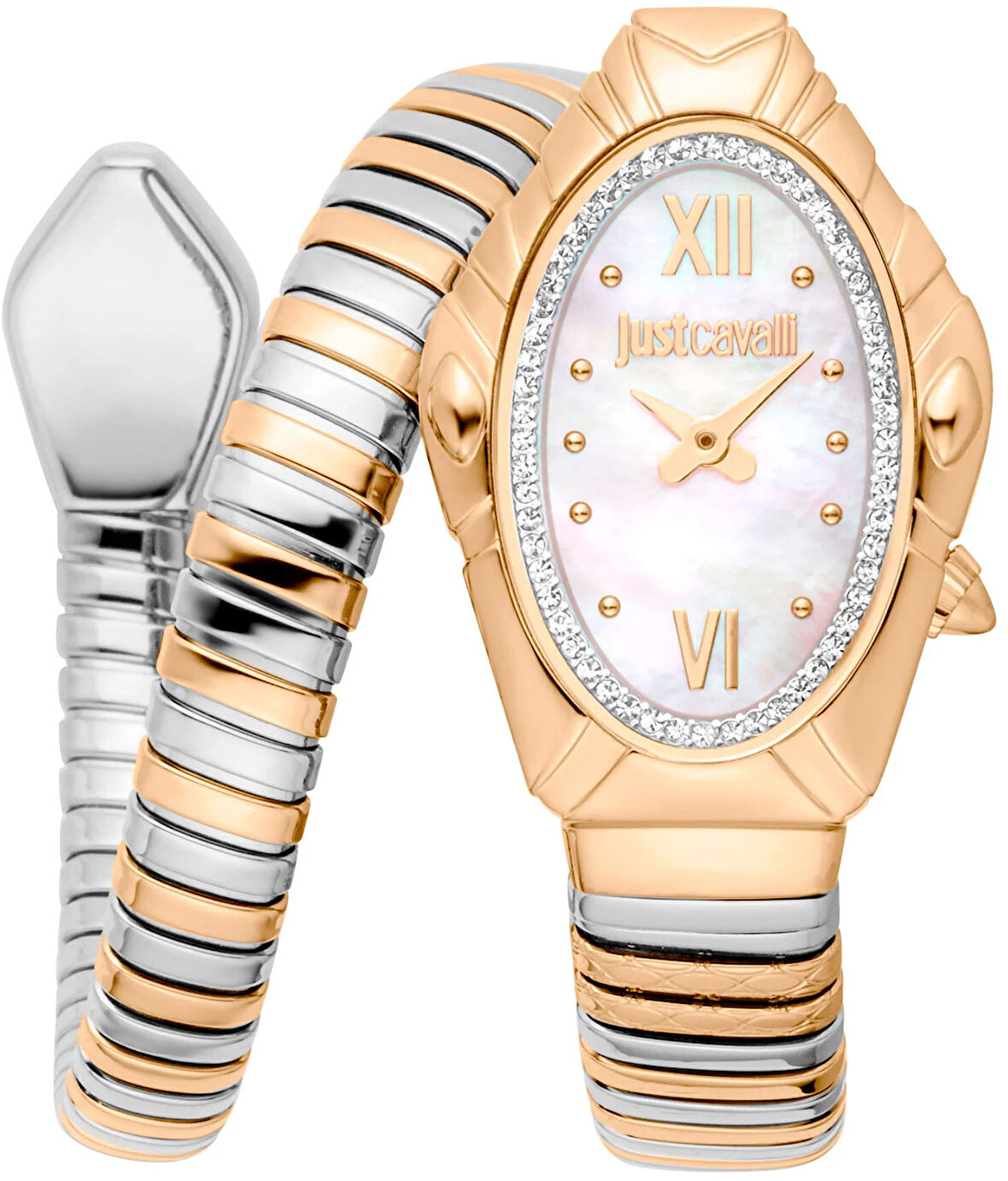 Just Cavalli JC1L357M0055