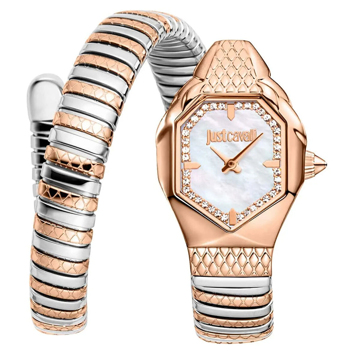 Just Cavalli JC1L369M0075 Kadın Kol Saati