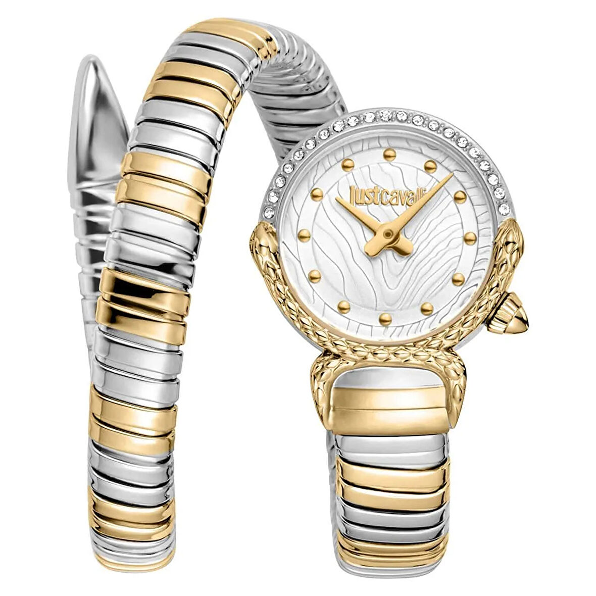 Just Cavalli JC1L350M0055 Kadın Kol Saati