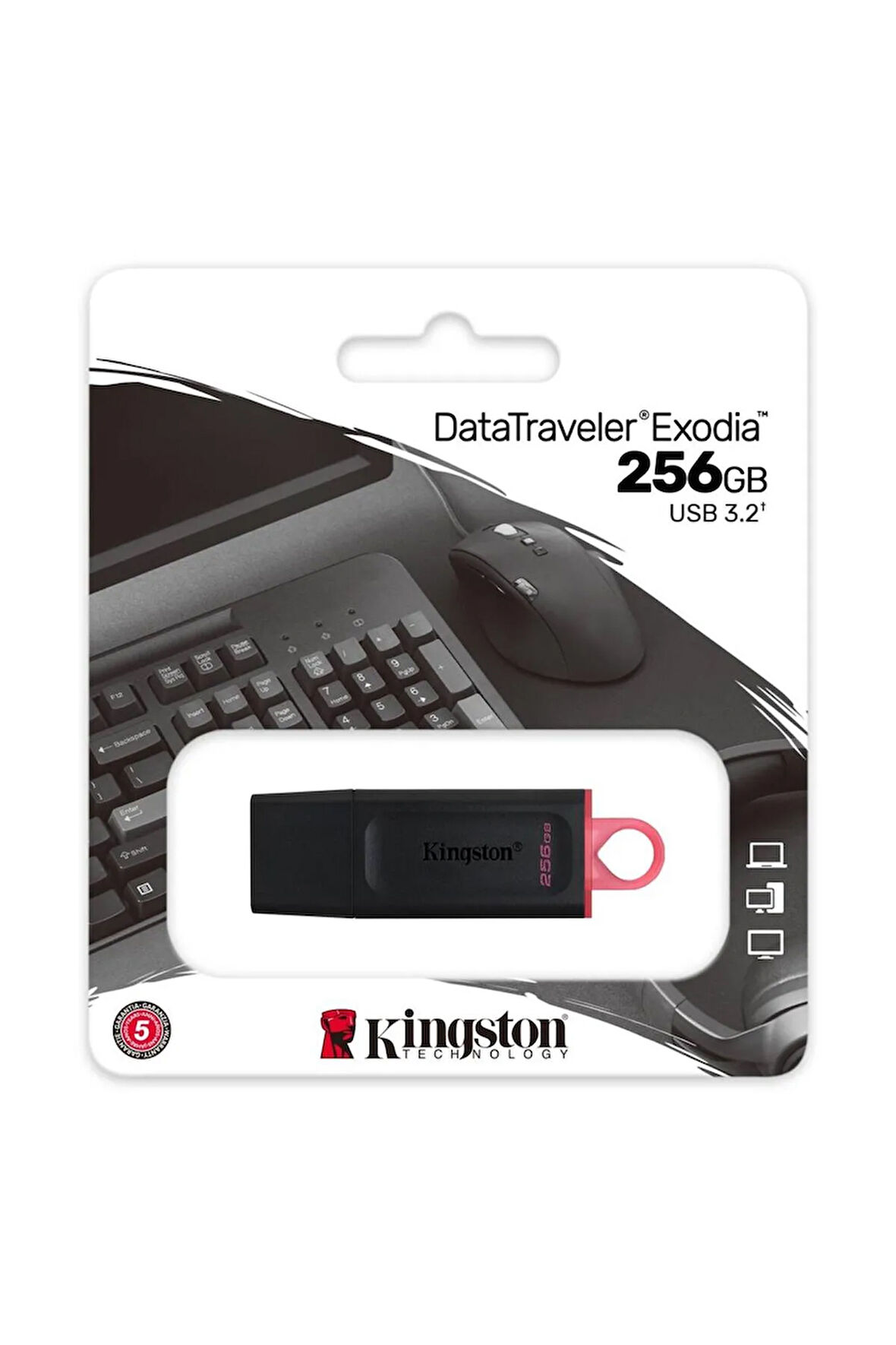 Kingston USB BELLEK 256GB