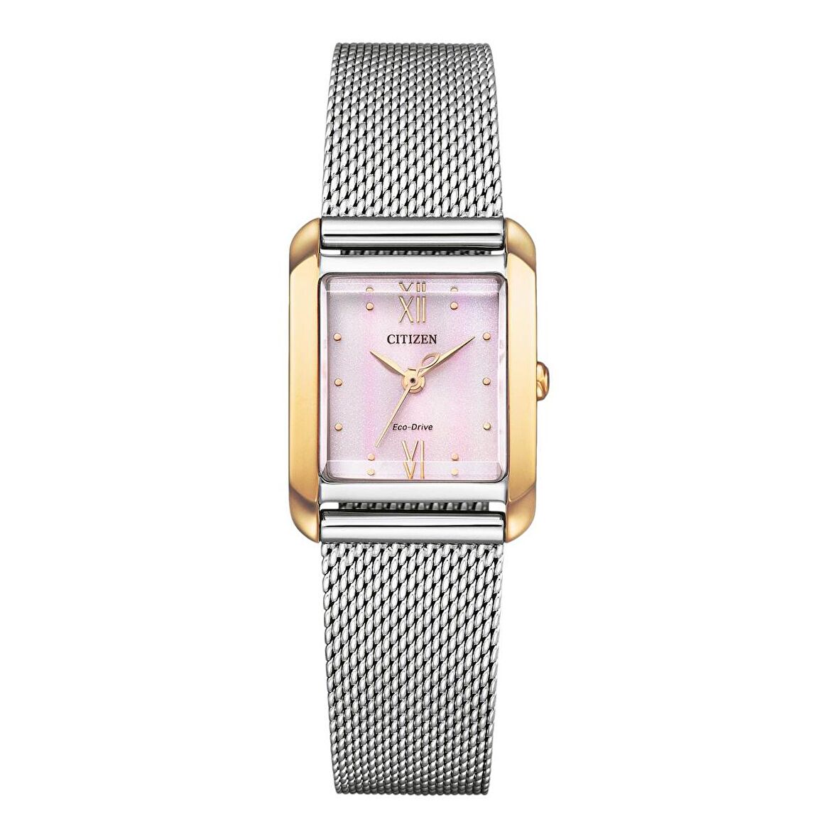 EW5596-66X Citizen Kadın Kol Saati