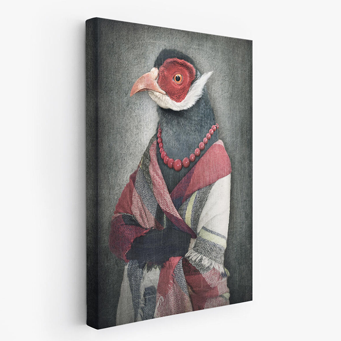 Kuş Kafalı İnsan Kanvas Tablo-4992