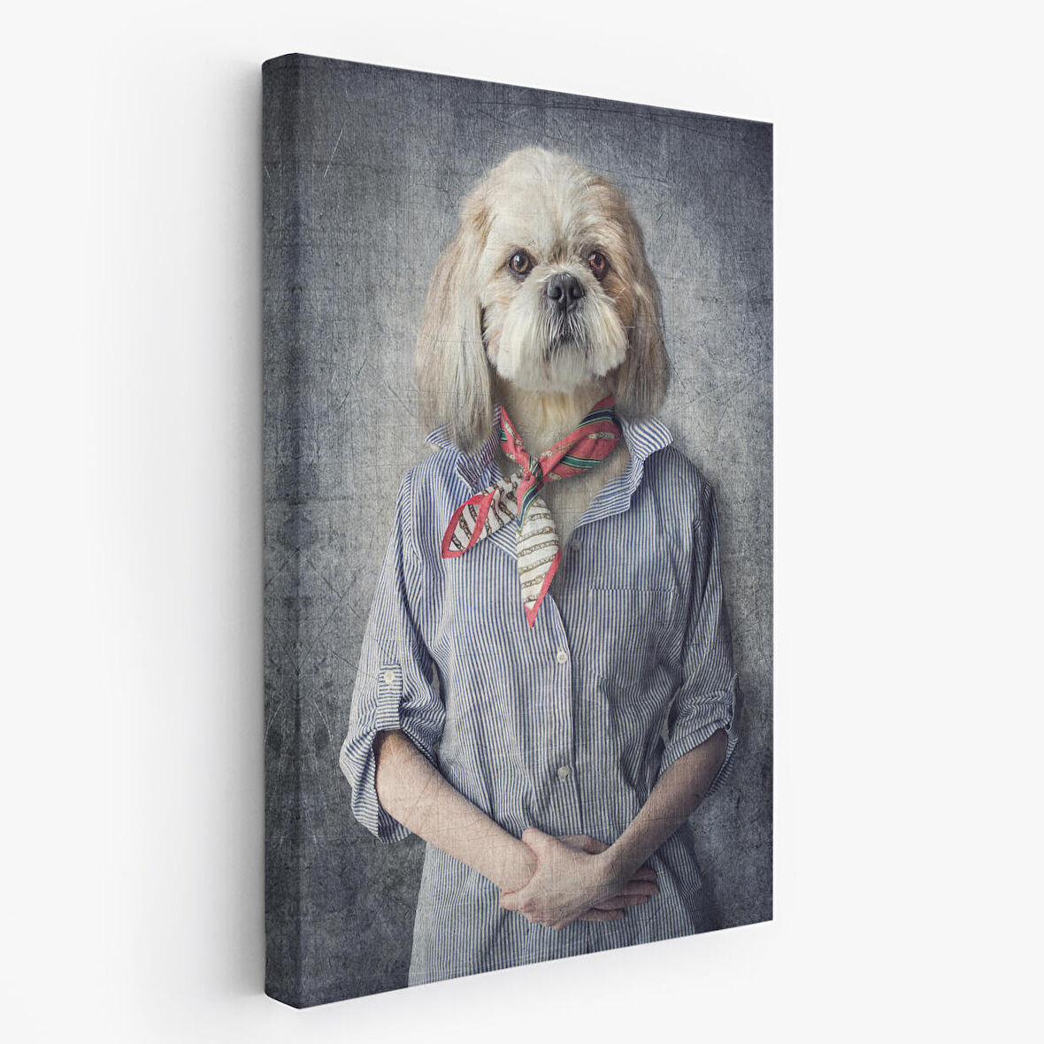 Köpek Kafalı İnsan Kanvas Tablo-4998