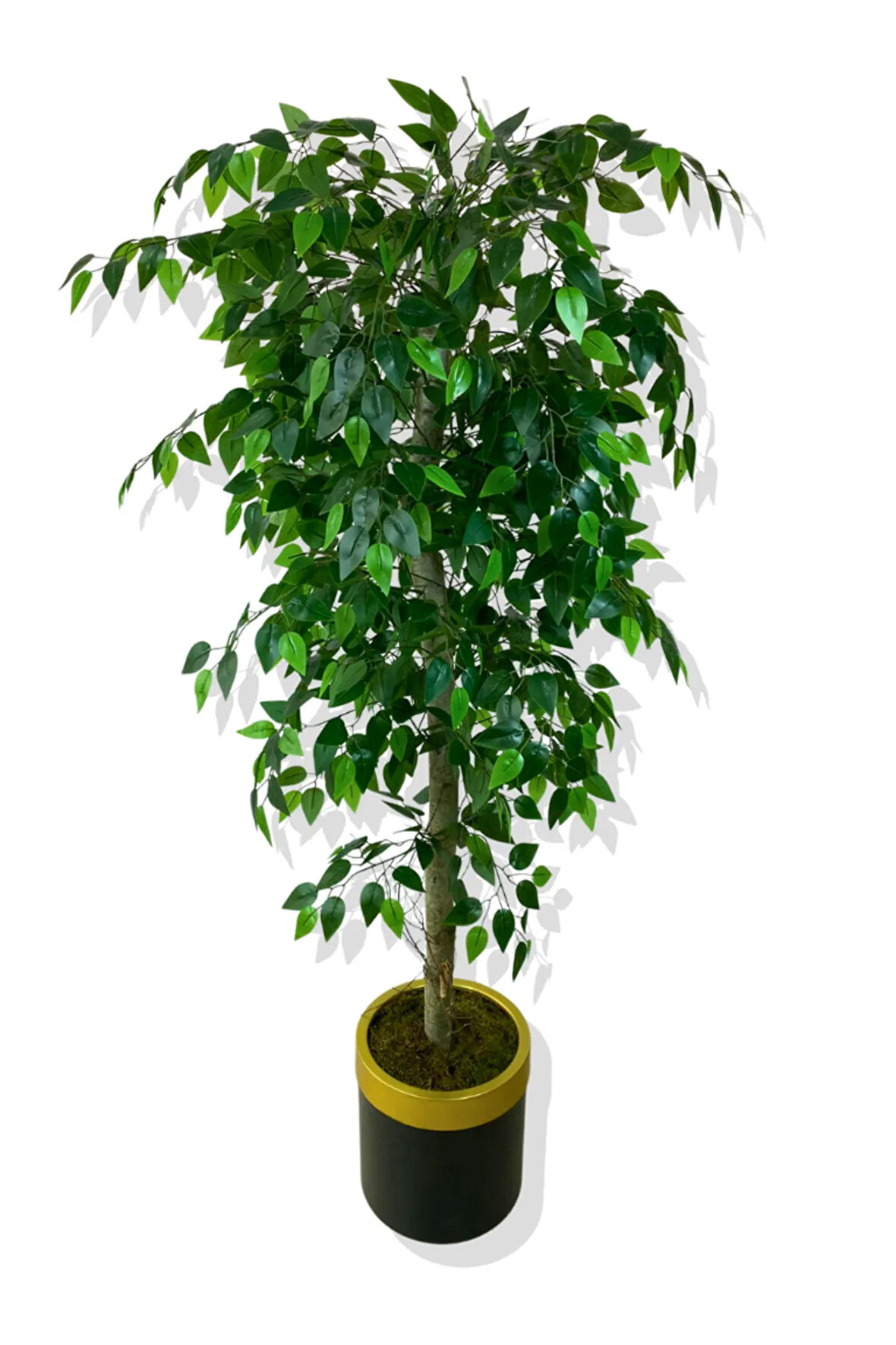 BENJAMİN 160 CM YAPAY AĞAÇ 30x25 GOLD KEMERLİ SAKSI