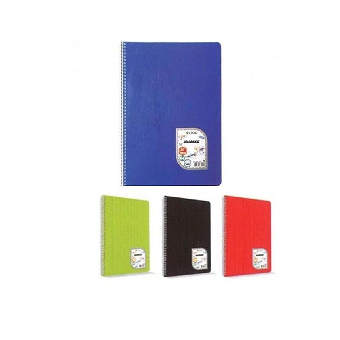 Çınar A4 Colormaxi Spiralli Defter Plastik Kapak Çizgili 60 Yaprak 4 Adet