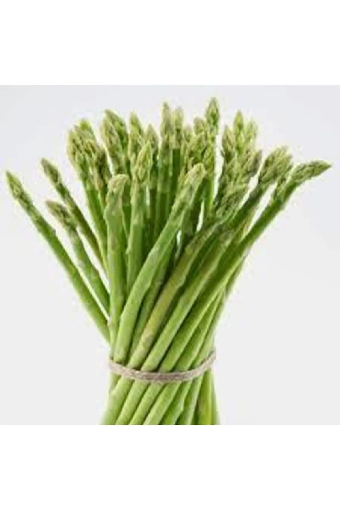 5 Adet Tohum Kuşkonmaz Tohumu Nadir Bulunan Kuş Konmaz Kuşkonmaz Tohumu Sürpriz Hediye Tohumludur