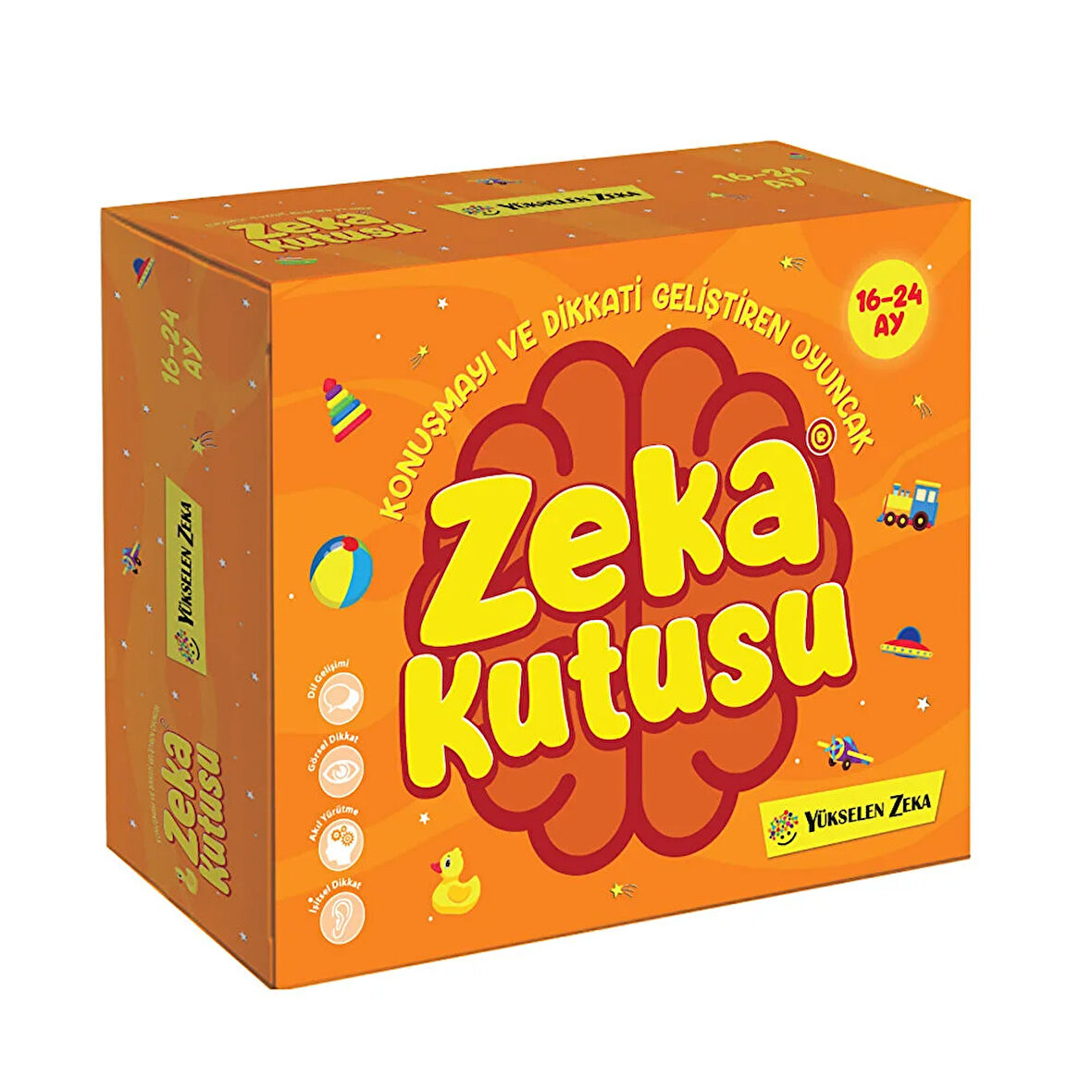 Zeka Kutusu 16-24 Ay 1 Adet