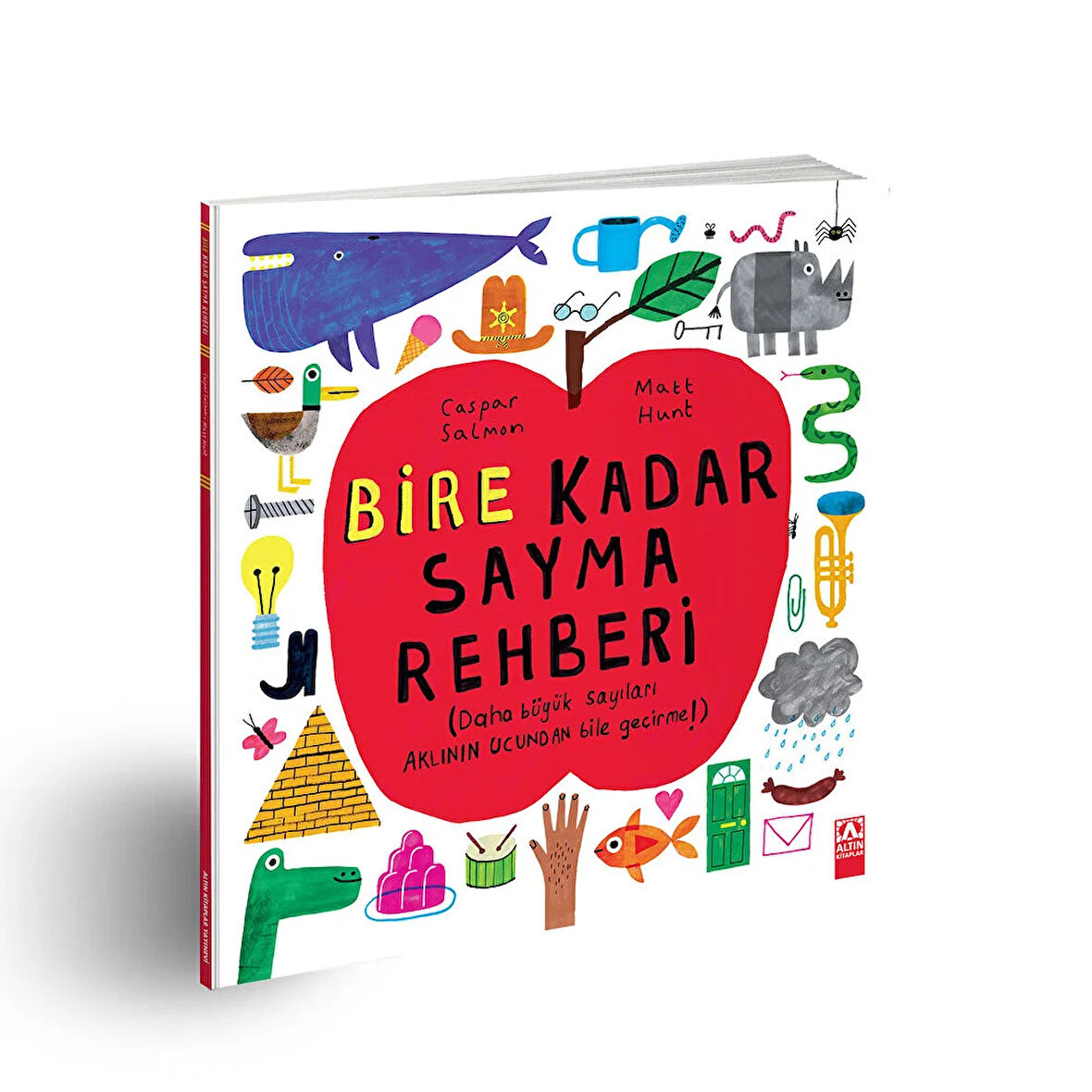 Bire Kadar Sayma Rehberi