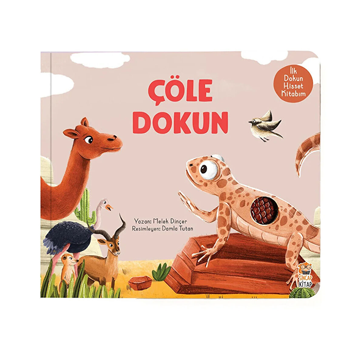 İlk Dokun Hisset Çöle Dokun