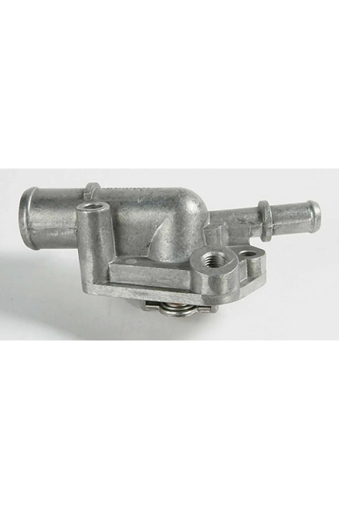 Termostat (PALIO-SIENA 1.4) 313105