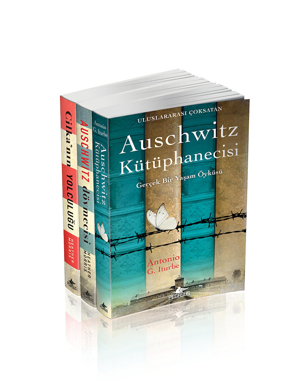 Auschwitz Serisi – Gerçek Yaşam Öyküleri 3 Kitap Set