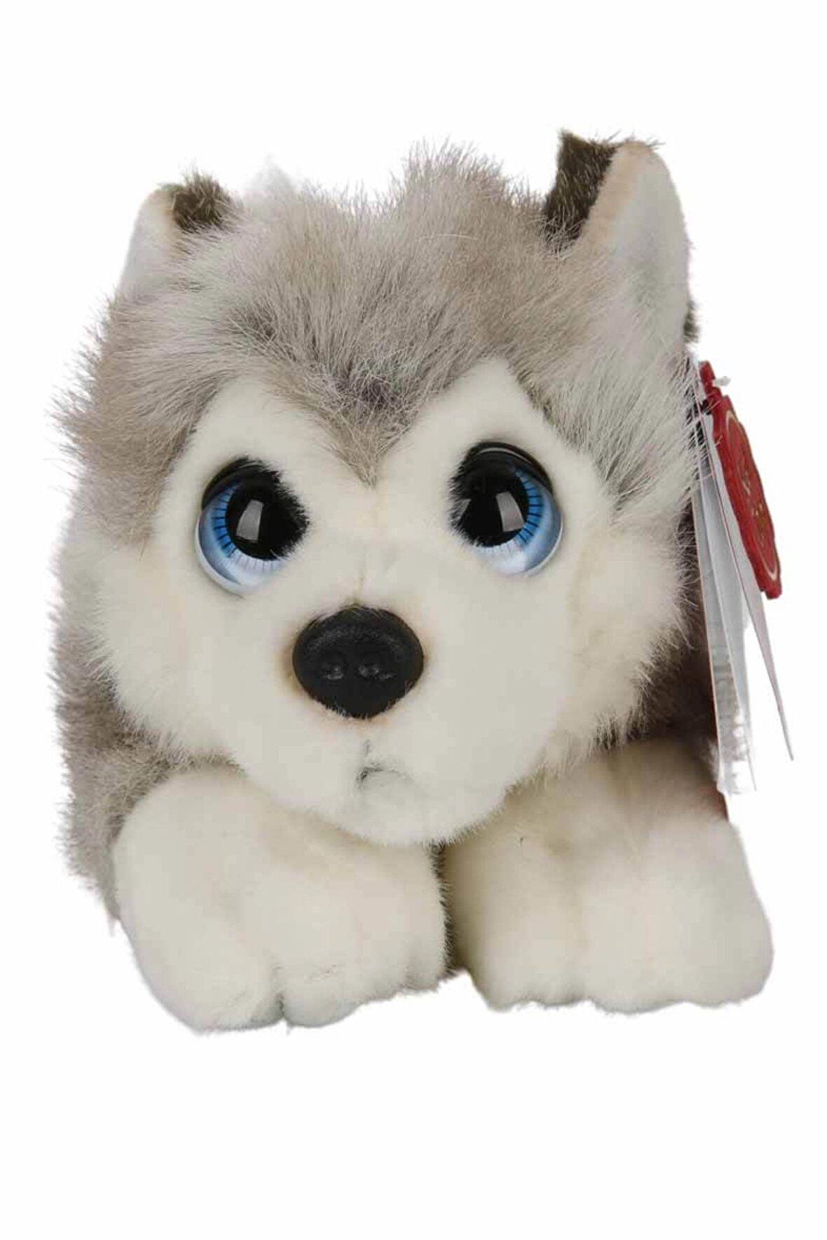 25 cm Husky Peluş - Sevimliliğiyle Kalpleri Fethedecek!