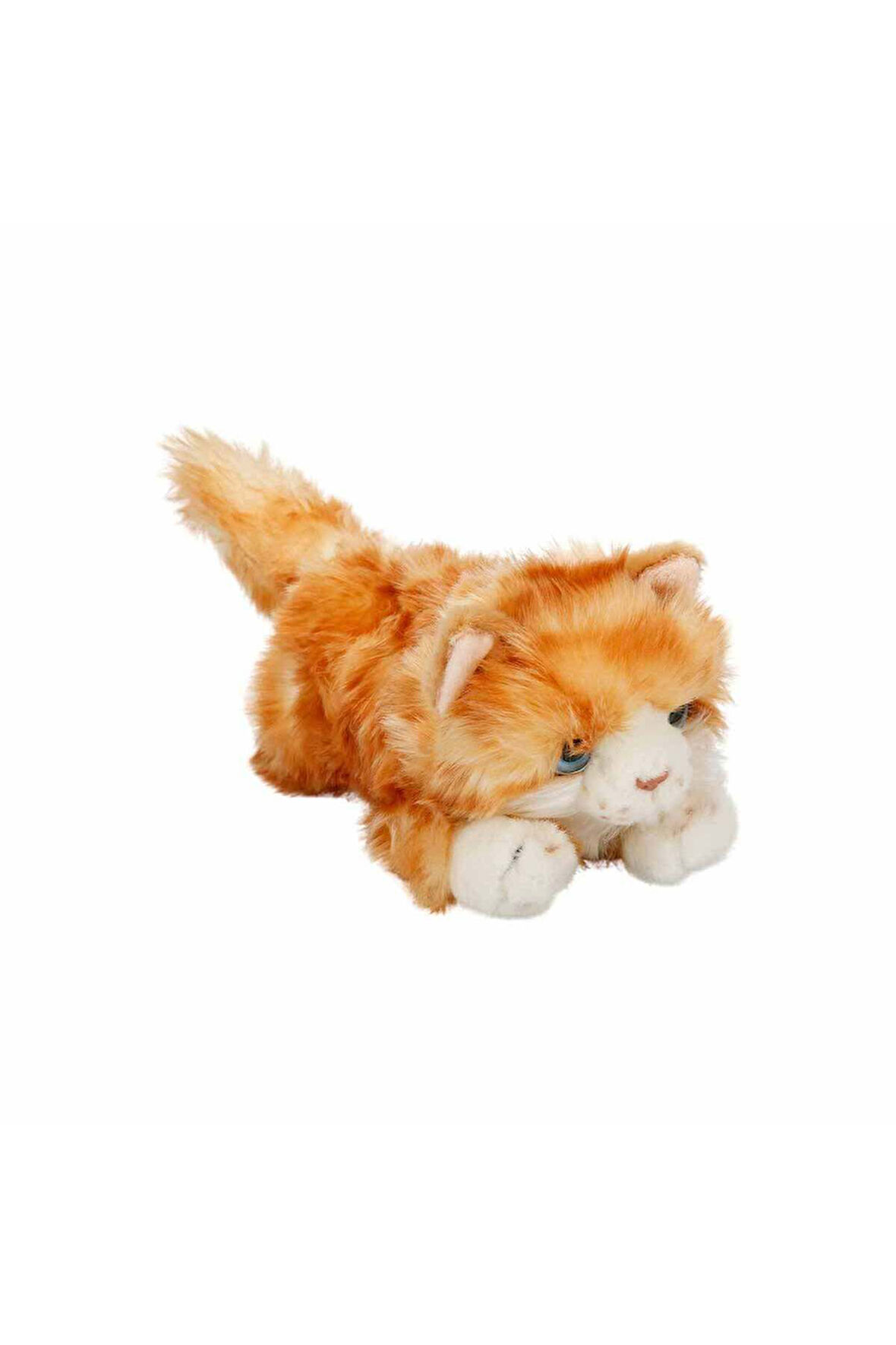 Yatan Sarı Beyaz Kedi Peluş 25 cm