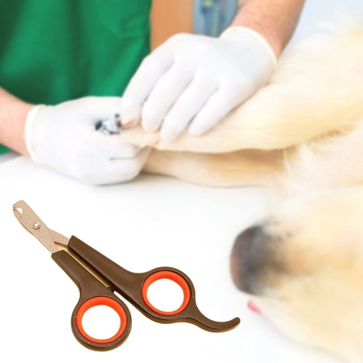 Küçük Çelik Uçlu Kedi Köpek Evcil Hayvan Tırnak Makası Pati Bakım Aleti Ergonomik Kaymaz Sap (5042)
