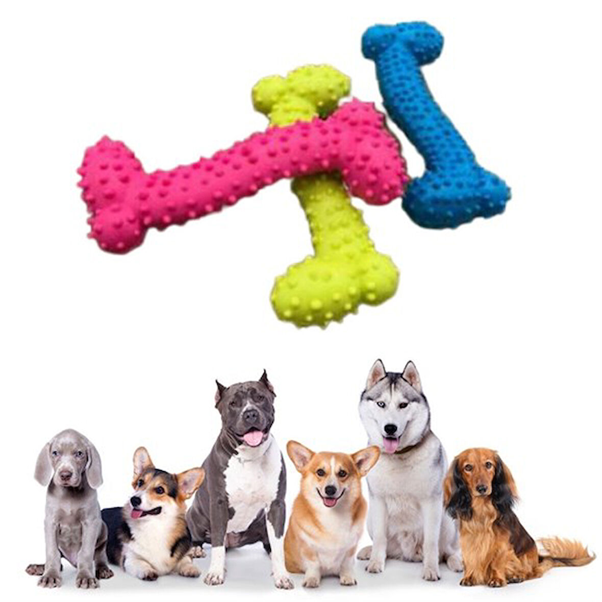Tiny Kemik Oyuncağı Tırtıklı Yüzey Küçük Kemik Plastik Köpek Oyuncağı (5042)