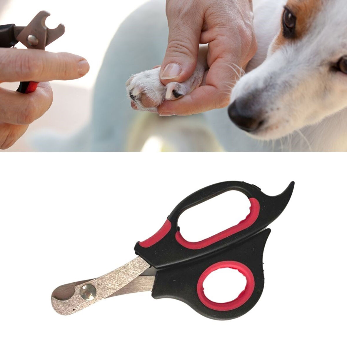 Büyük Irk Köpek Kedi Çelik Uçlu Evcil Hayvan Tırnak Makası Pati Bakım Aleti Ergonomik Kaymaz (5042)