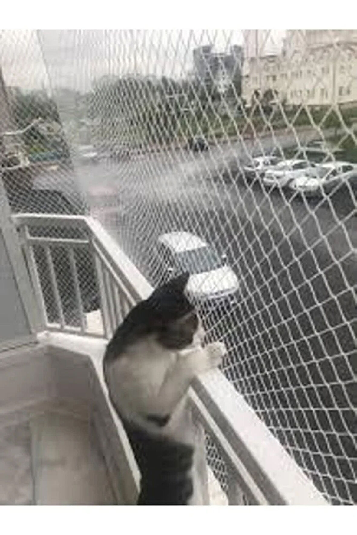 2,50 X 9 Metre Kedi Filesi Montaj Mağzemeli Kedi Koruma Filesi 1 Mm Balkon Filesi Güvenlik Ağı
