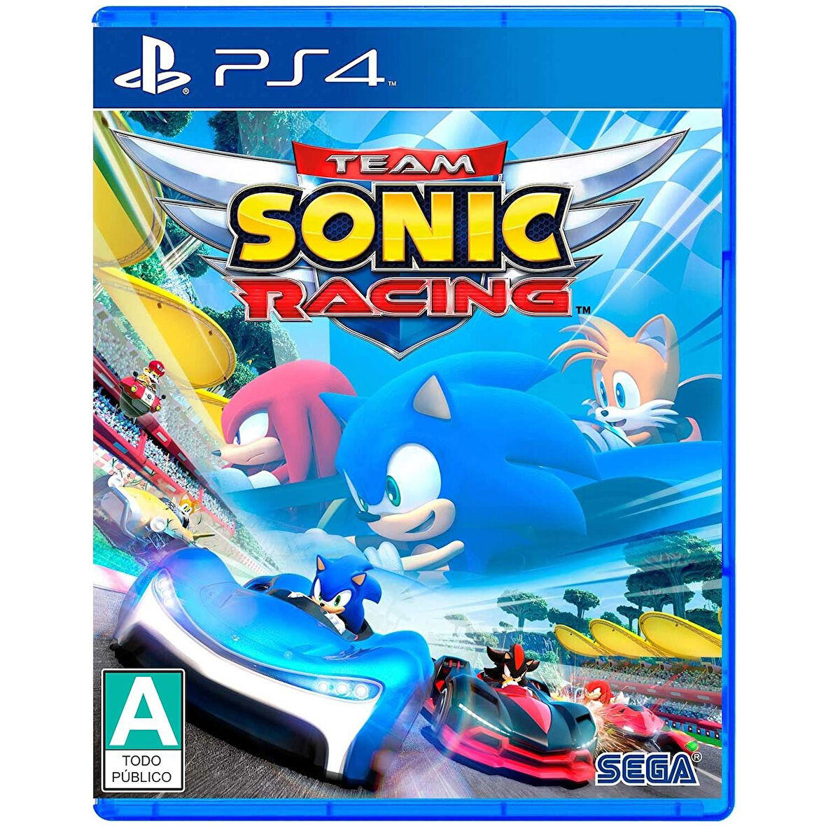 Team Sonic Racing PS4 Oyun