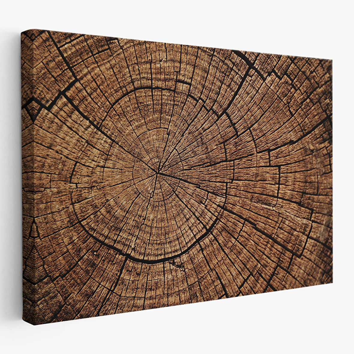 Ağaç Kütük Desenli Kanvas Tablo-5076