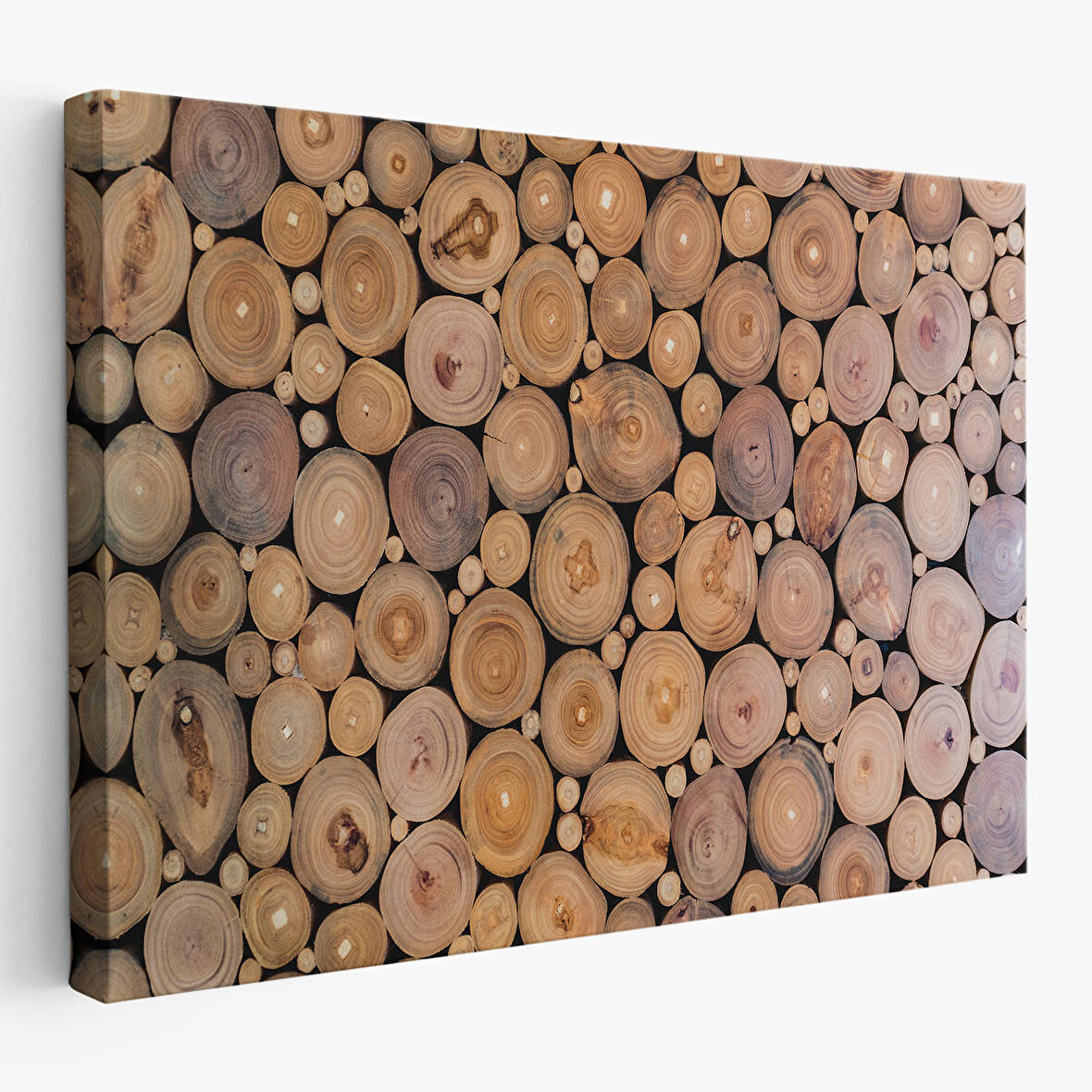 Odun Kütükler Kanvas Tablo-5078