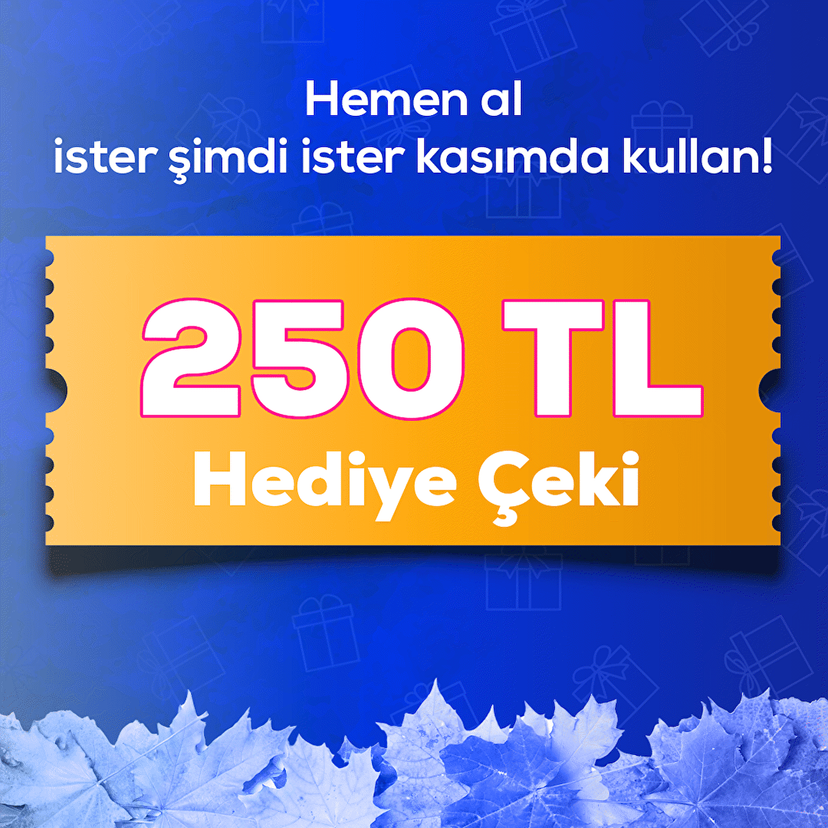 250 TL Hediye Çeki