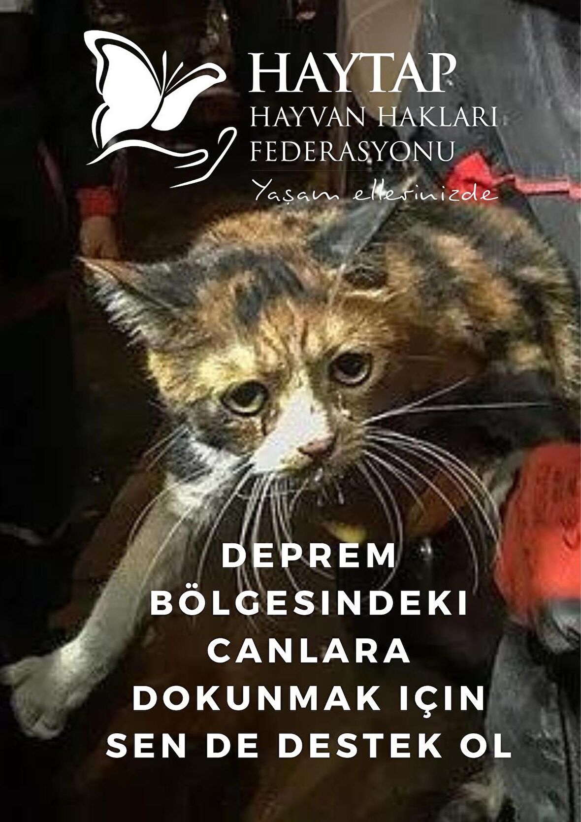 HAYTAP DEPREM YARDIM KARTI-50 TL