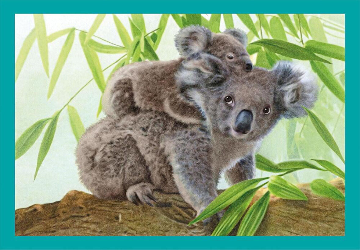 Clementoni Baby Cuddles Puzzle 4 in 1 21532