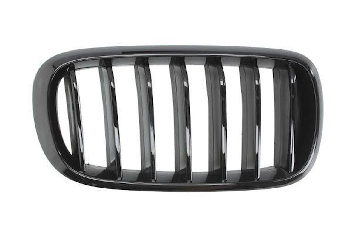 ÖN BÖBREK PANJUR SOL M PERFORMANCE F15/F16 51712334708