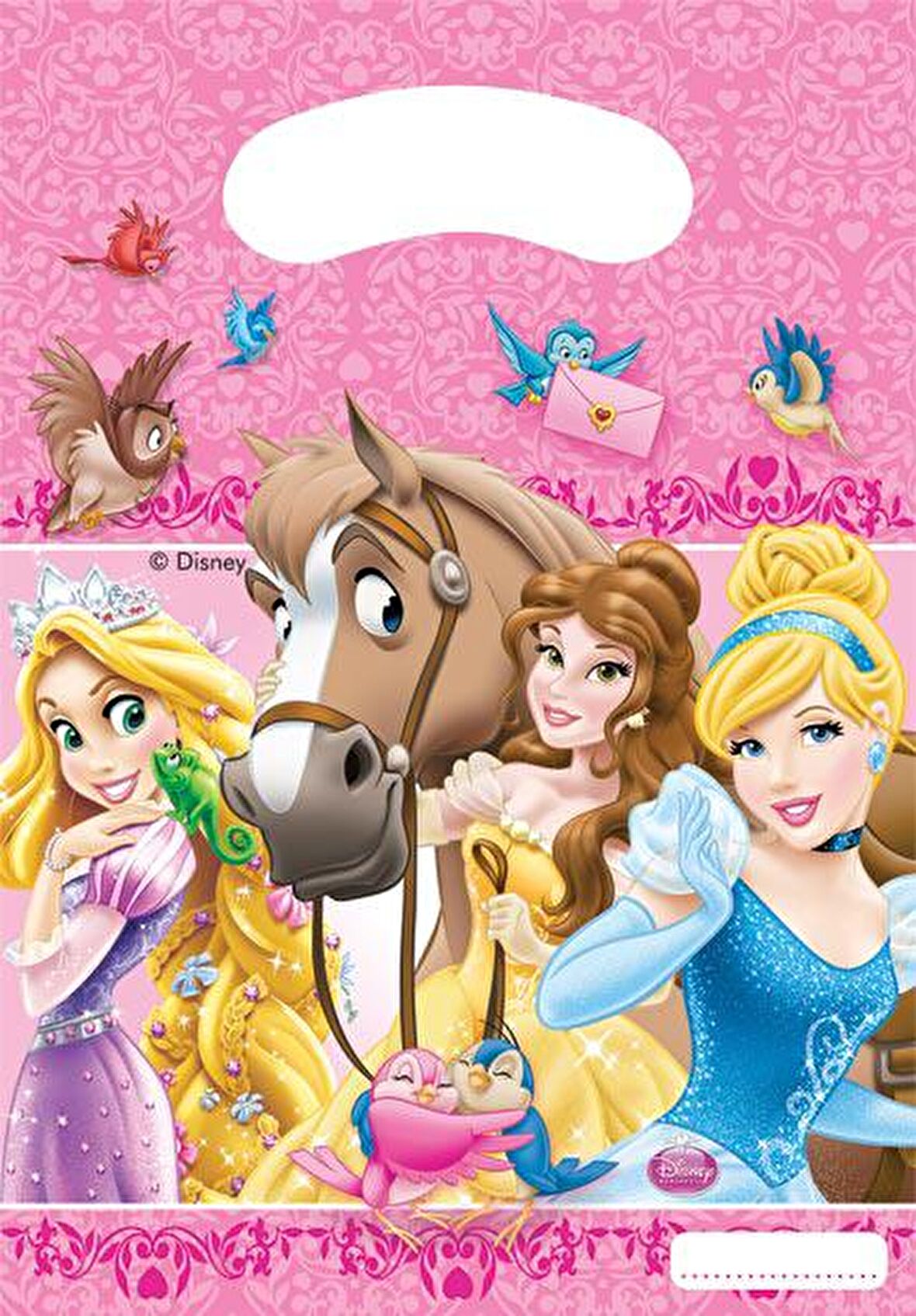 PRENSES & ANİMALS PARTİ ÇANTASI 6'LI
