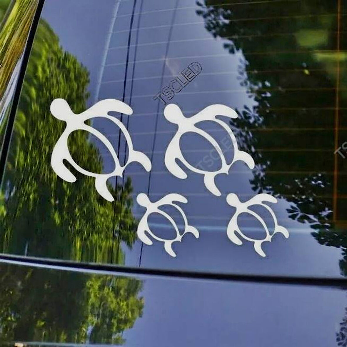 Kaplumbağa Ailesi Araba Sticker Yapıştırması_77
