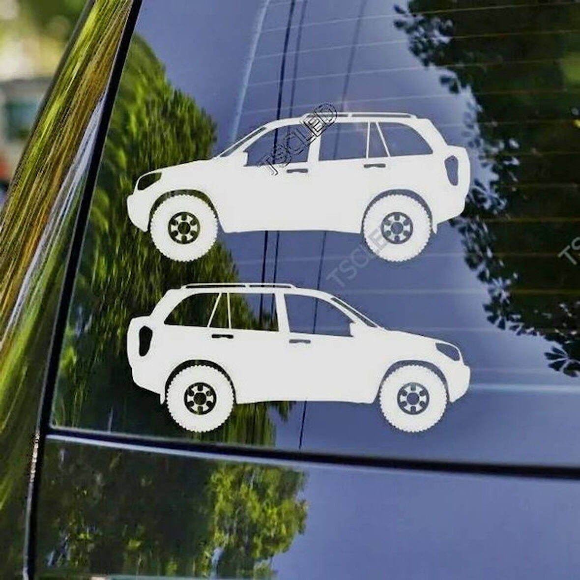 Rav4 2nd gen Kelebek Cam Oto Sticker 17 CM 2 Adet